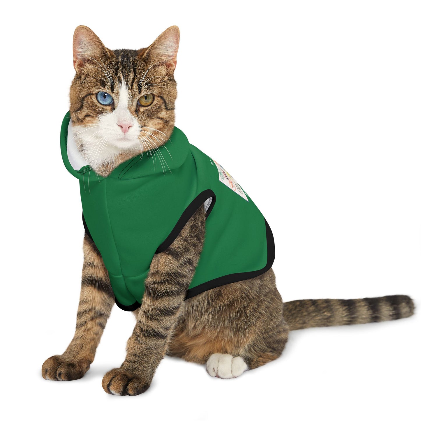 Travel-Themed Pet Hoodie GREEN - 'My Passport Has Stamps'