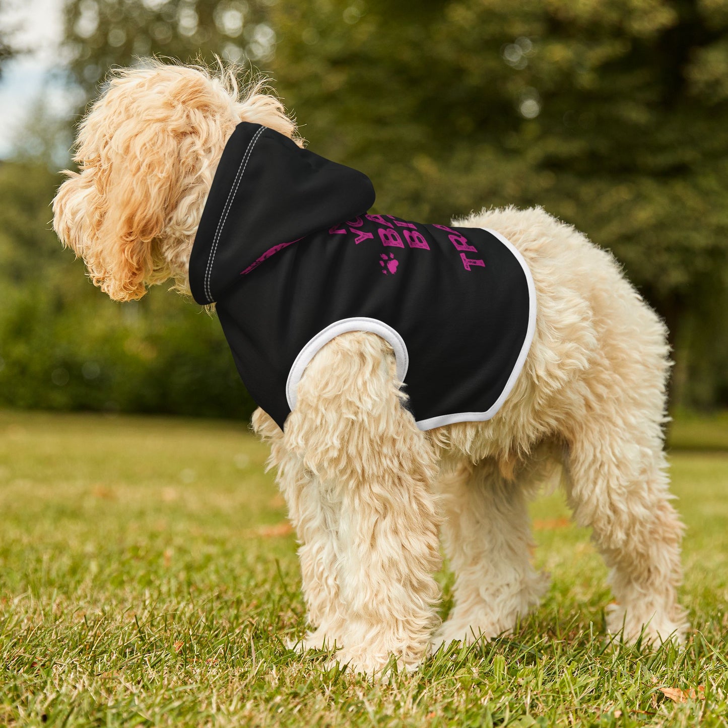 Not Your Basic Bitch I Travel Pet Hoodie - Stylish Dog Apparel for Adventurous Pets