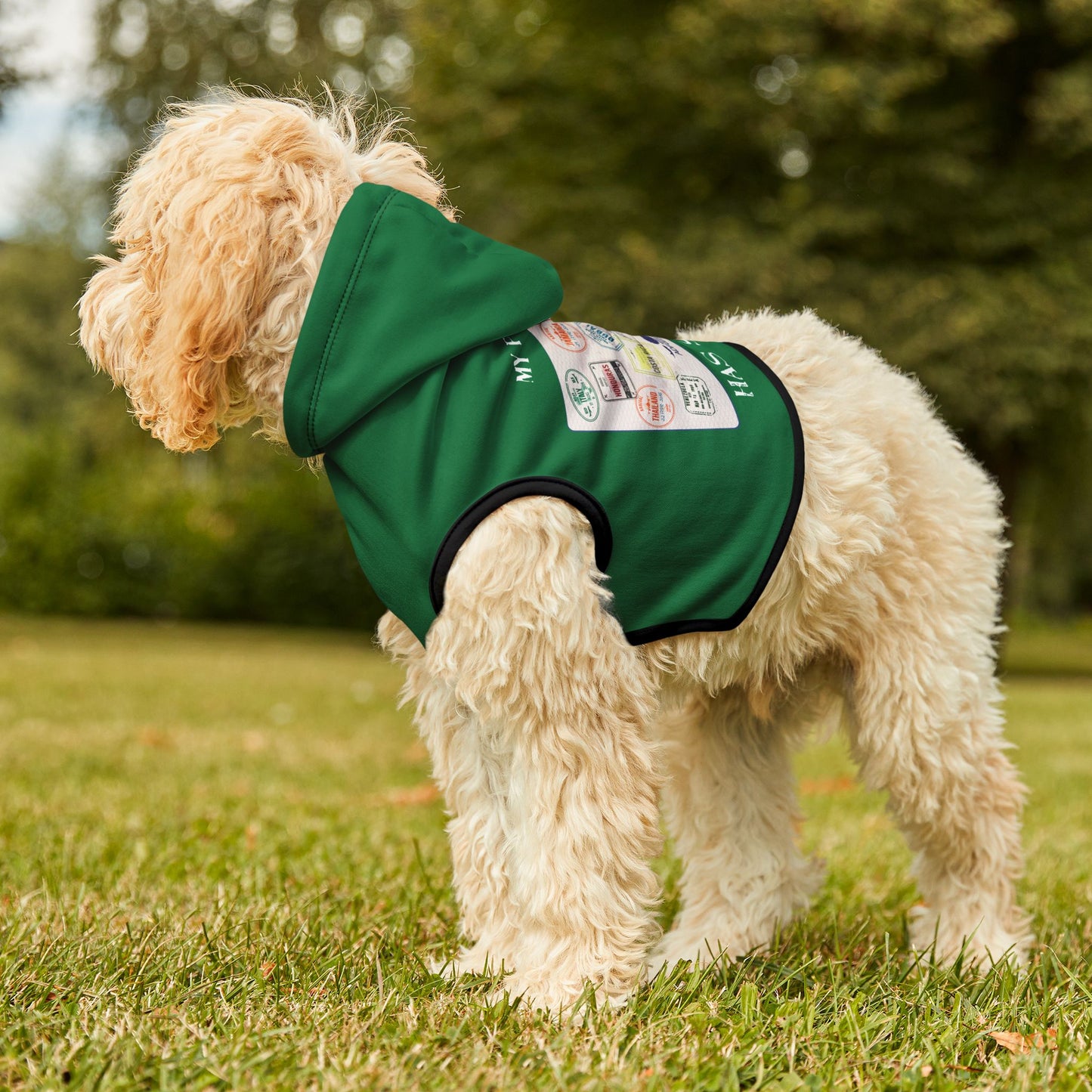 Travel-Themed Pet Hoodie GREEN - 'My Passport Has Stamps'